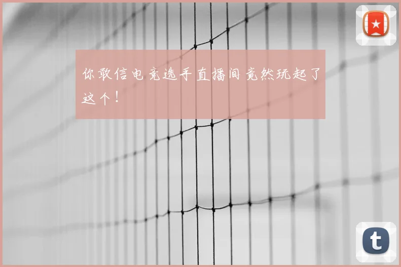 你敢信电竞选手直播间竟然玩起了这个！